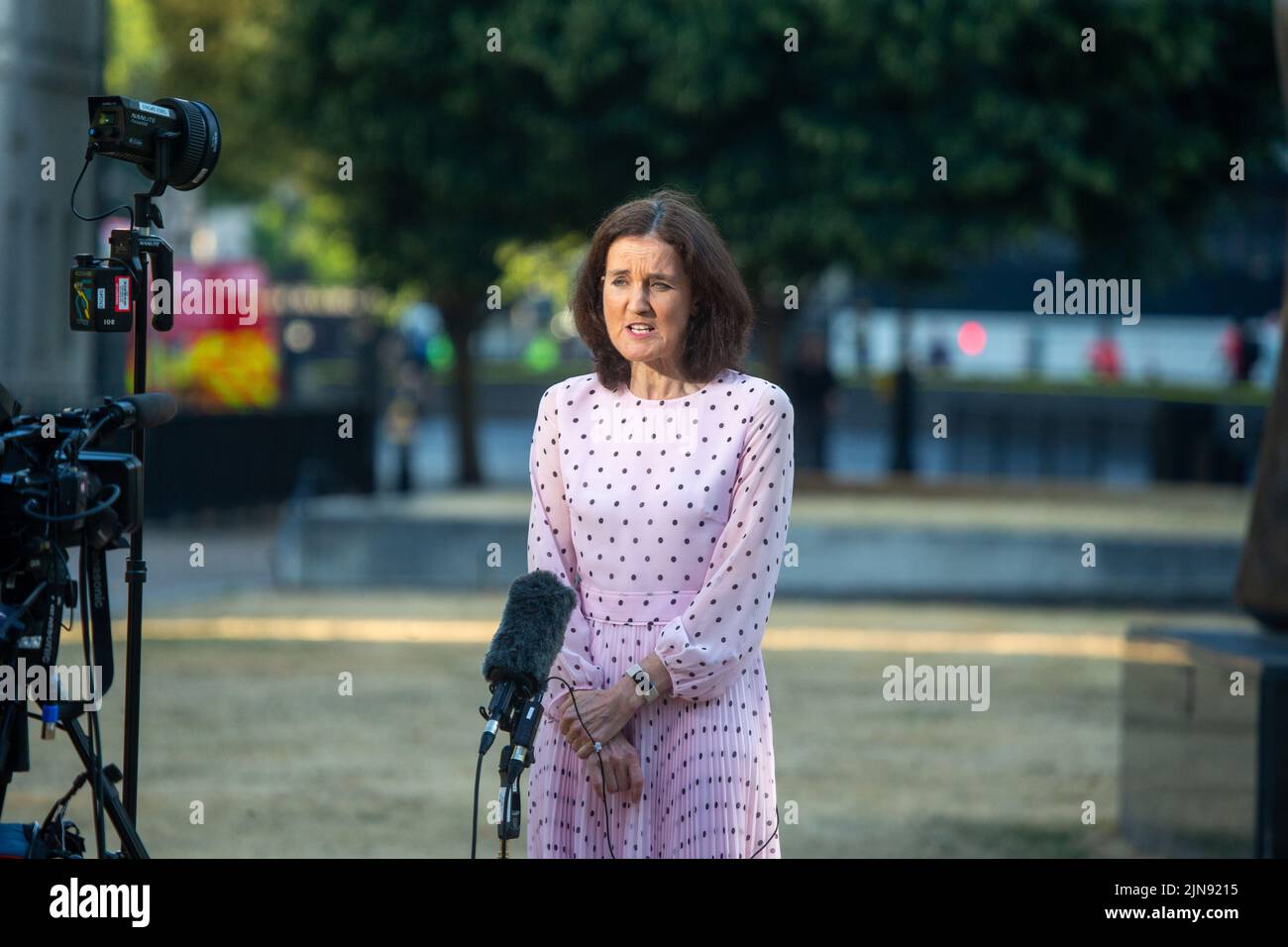 London, England, UK. 10th Aug, 2022. Conservative Member of Parliament and Rishi Sunak supporter THERESA VILLIERS is seen during morning media round in Westminster. (Credit Image: © Tayfun Salci/ZUMA Press Wire) Credit: ZUMA Press, Inc./Alamy Live News Stock Photo