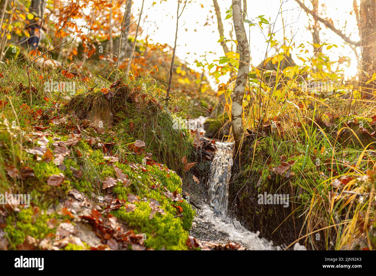 Stream Between Two Rocks Small stream passing rocks hi-res stock photography and images - Alamy