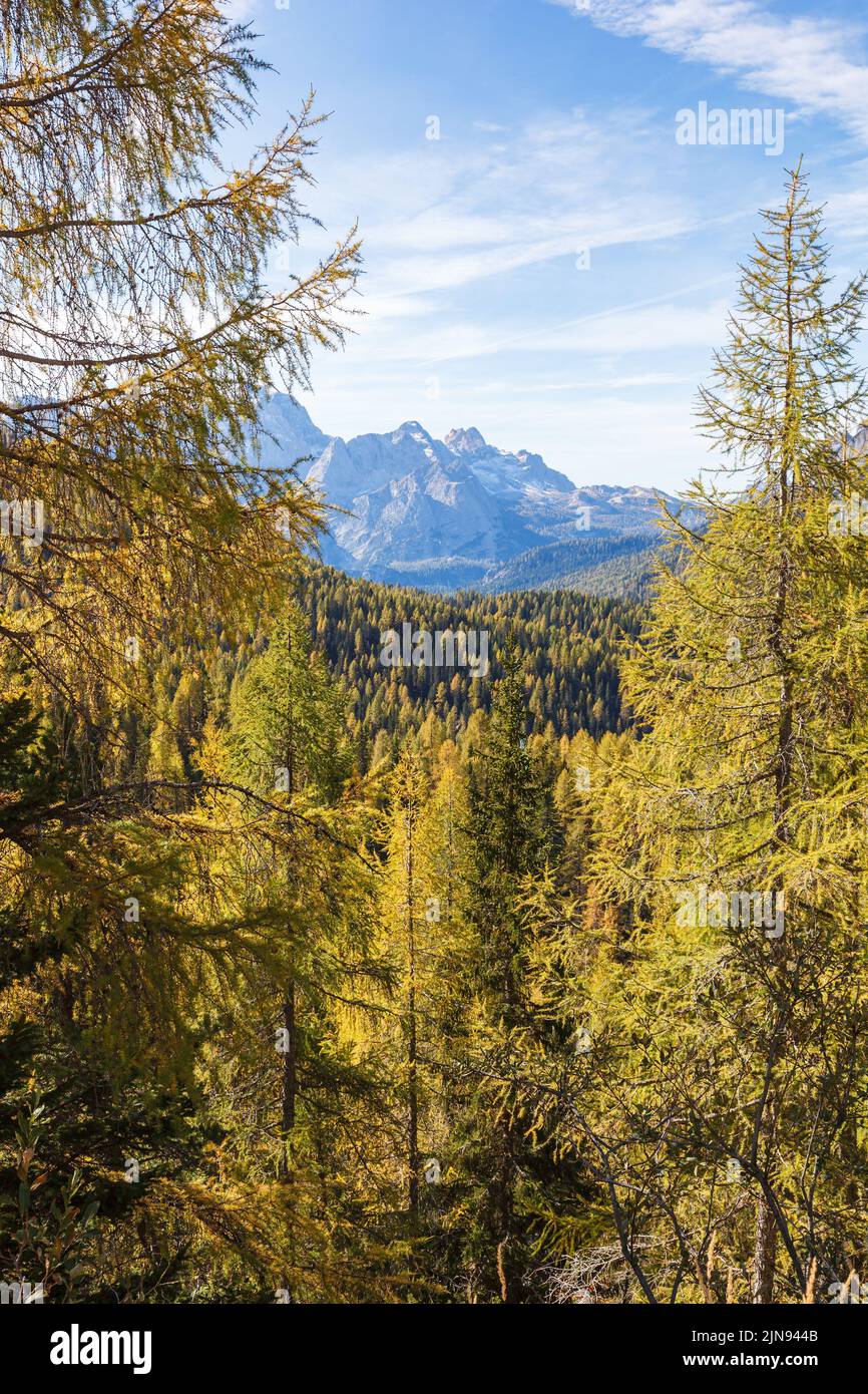Scenic mountain view with larch trees in autumn colors Stock Photo