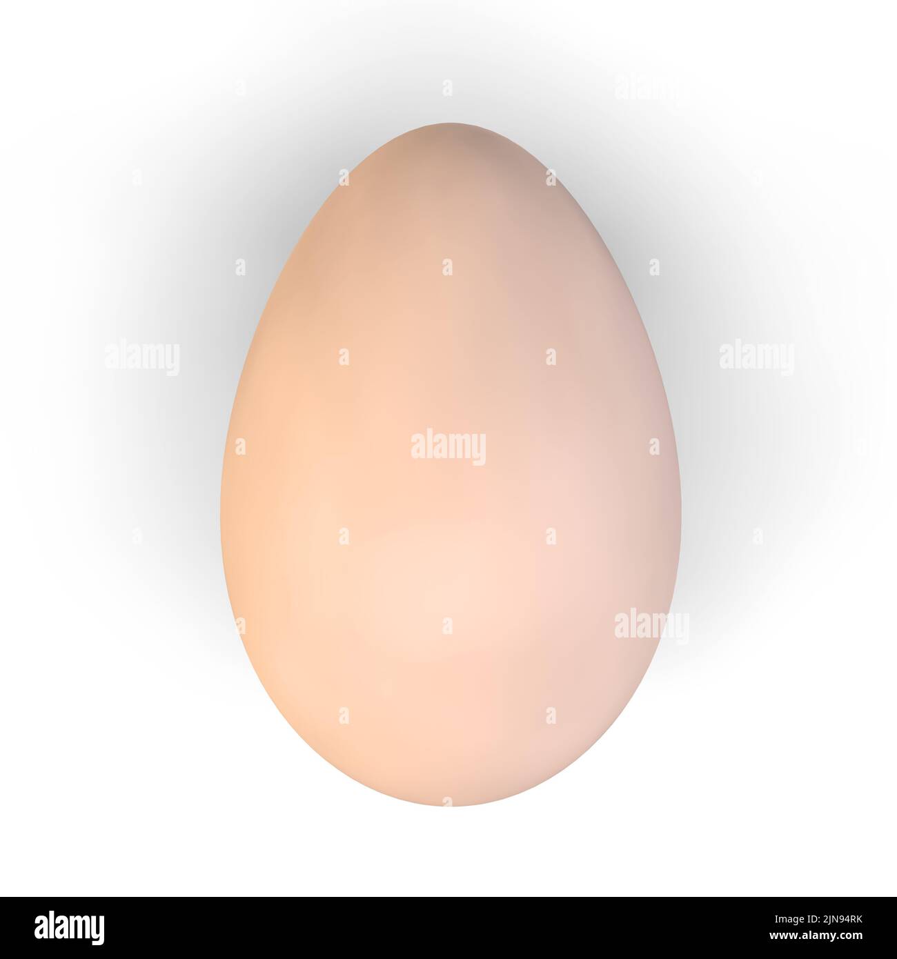 3d render of a chicken egg on a white background. View from above. Stock Photo