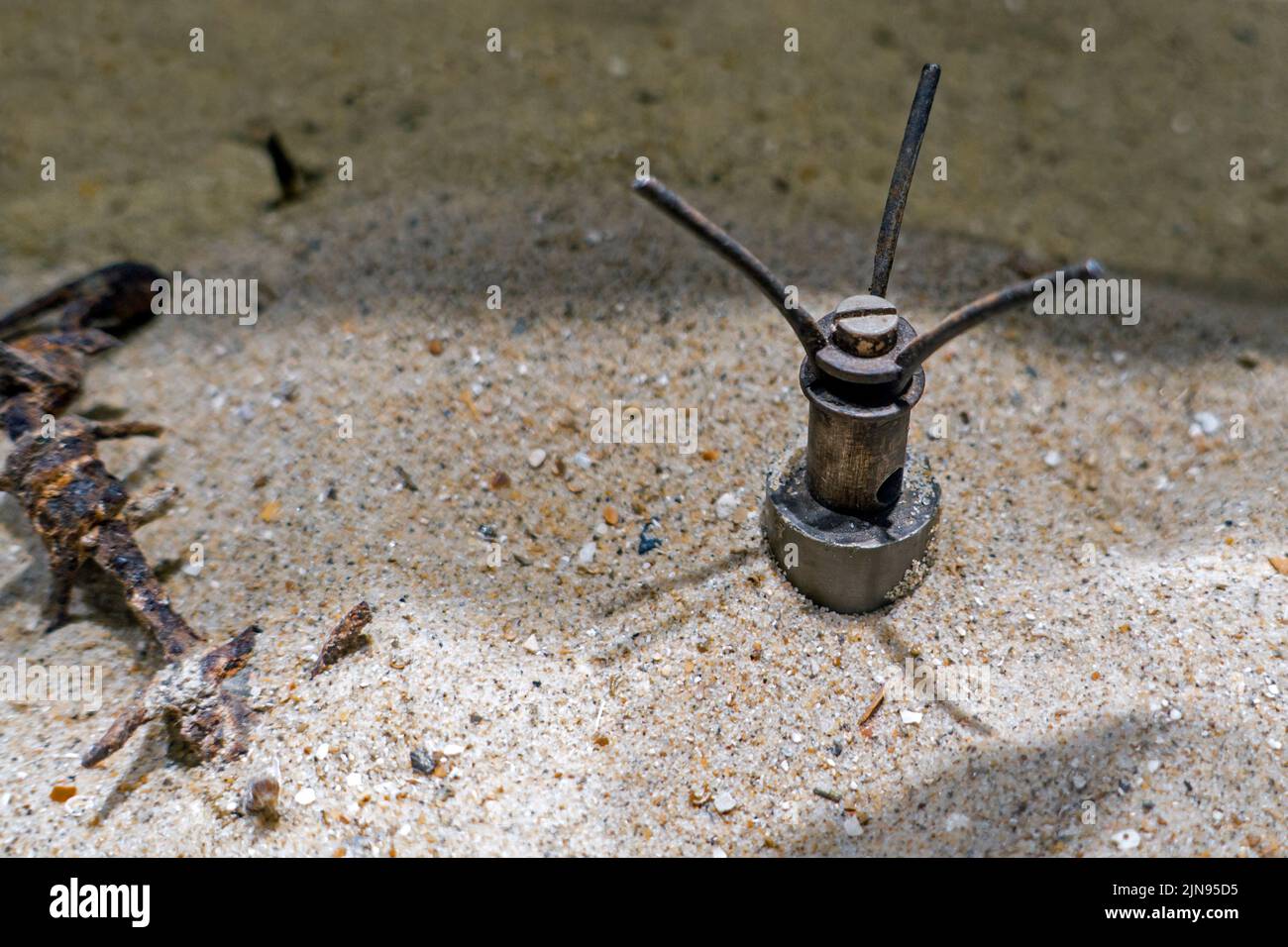 WW2 German S-mine / Bouncing Betty / WWII springmine, World War Two bounding anti-personnel mine showing prongs sticking out from sea sand on beach Stock Photo
