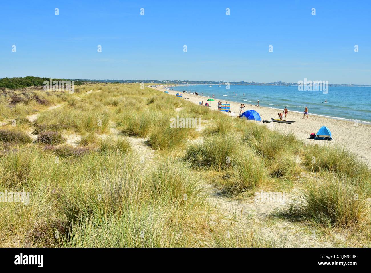 Studland Beach, Shell Bay, Dorset, UK, 10th August 2022, Weather. Hot and sunny at the beginning of another heatwave. The naturist beach is in the distance at the far end. Credit: Paul Biggins/Alamy Live News Stock Photo