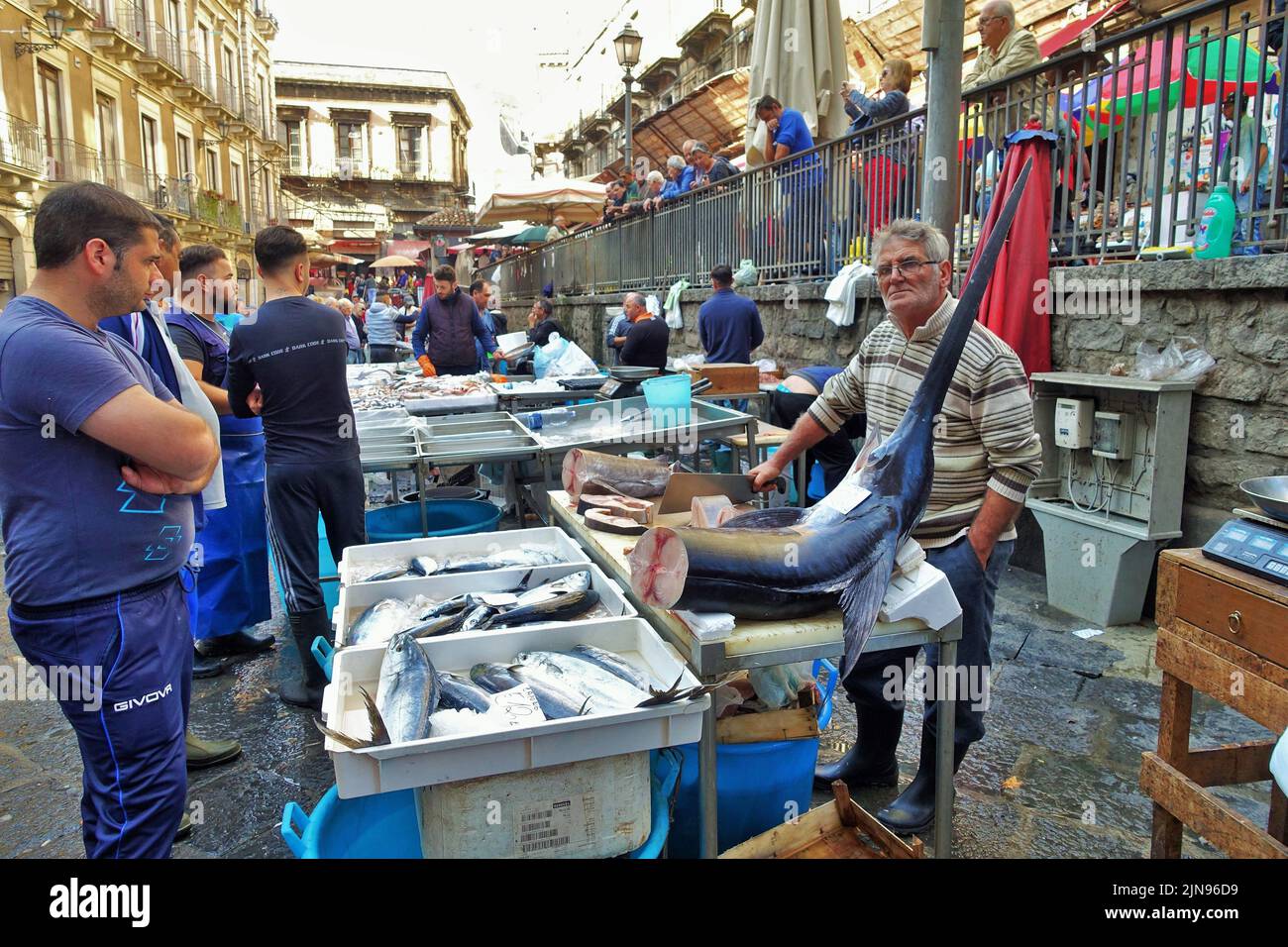Fish market, Palermo, Sicily, Italy, Europe Stock Photo