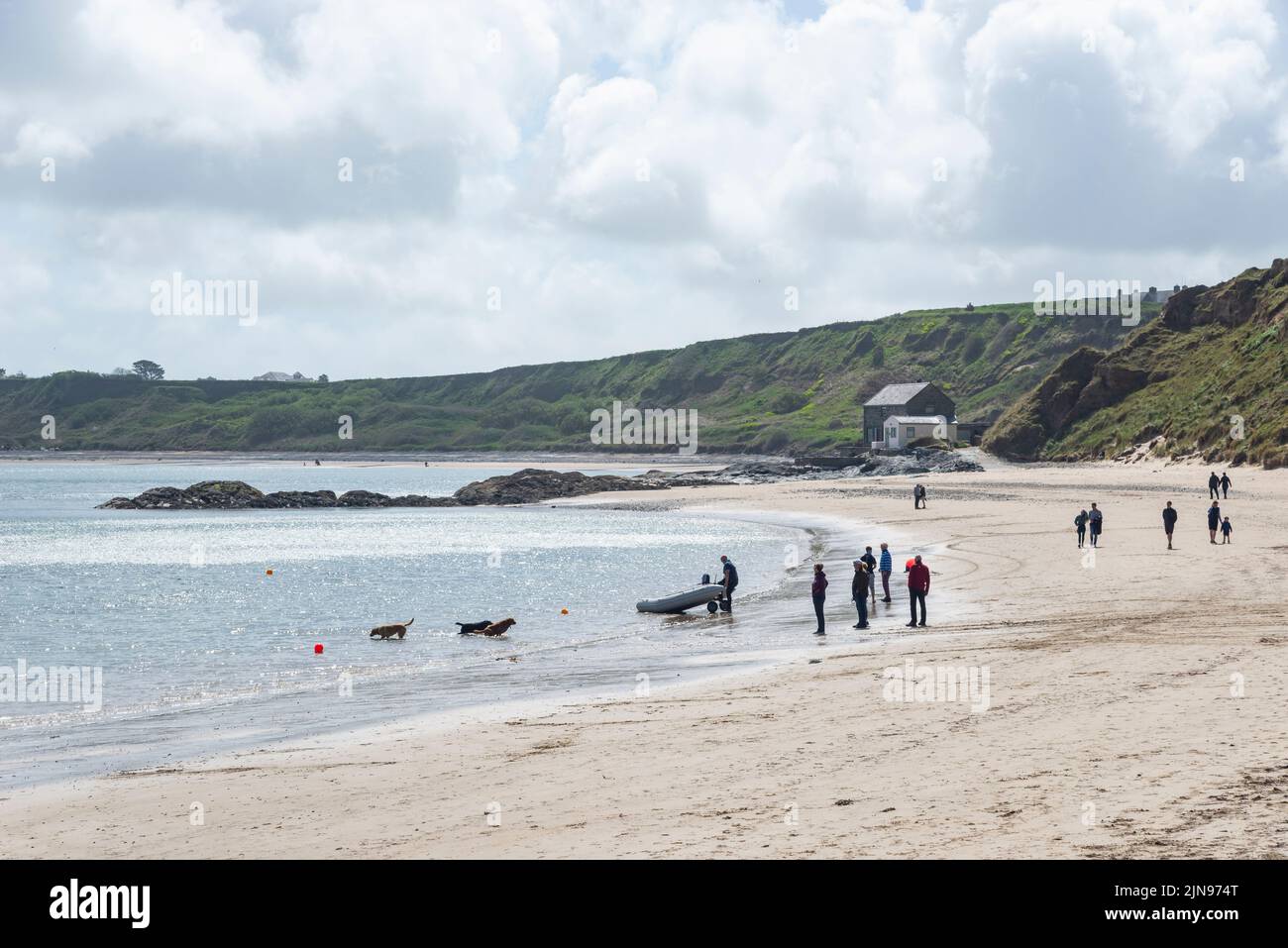 People and dogs on the beach at Porthdinllaen near Morfa Nefyn, Lleyn Peninsula, North Wales. Stock Photo