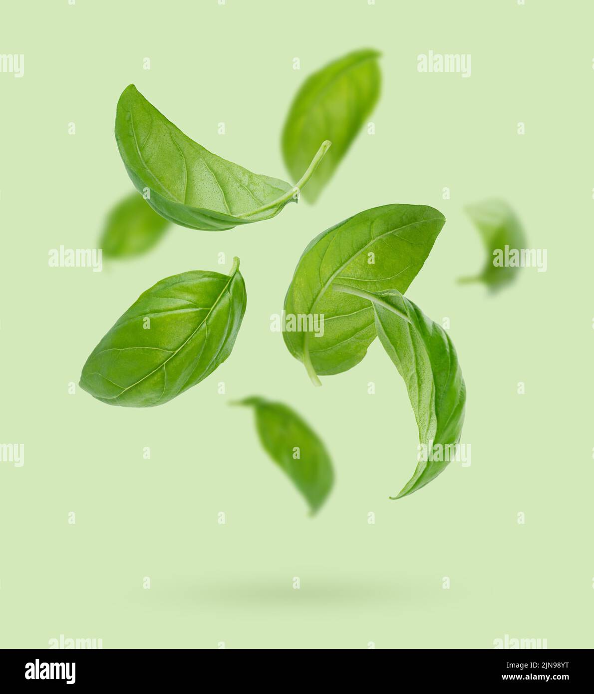 Flying basil leaves on green background. Stock Photo