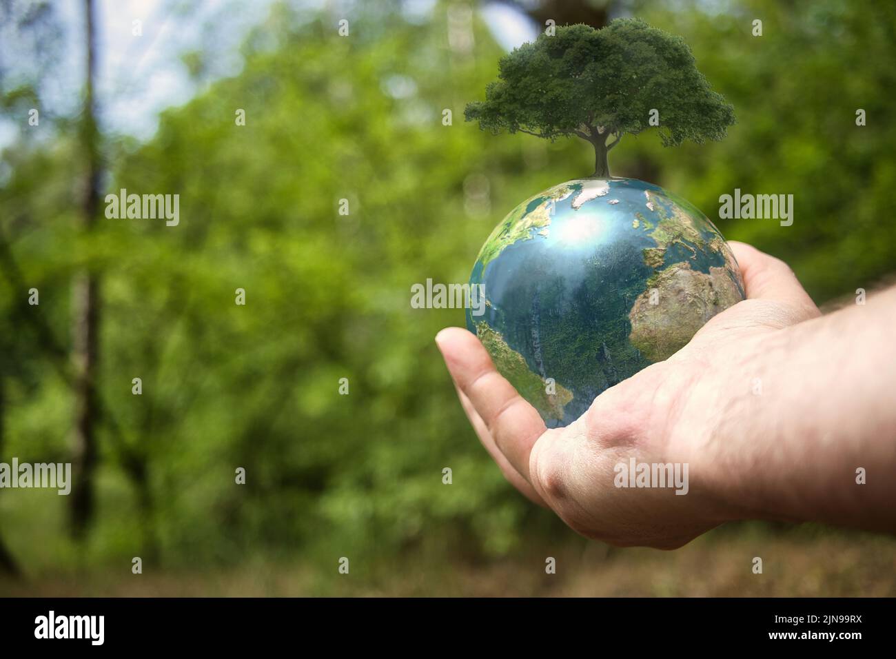 Planet earth tree growing on hi-res stock photography and images - Alamy