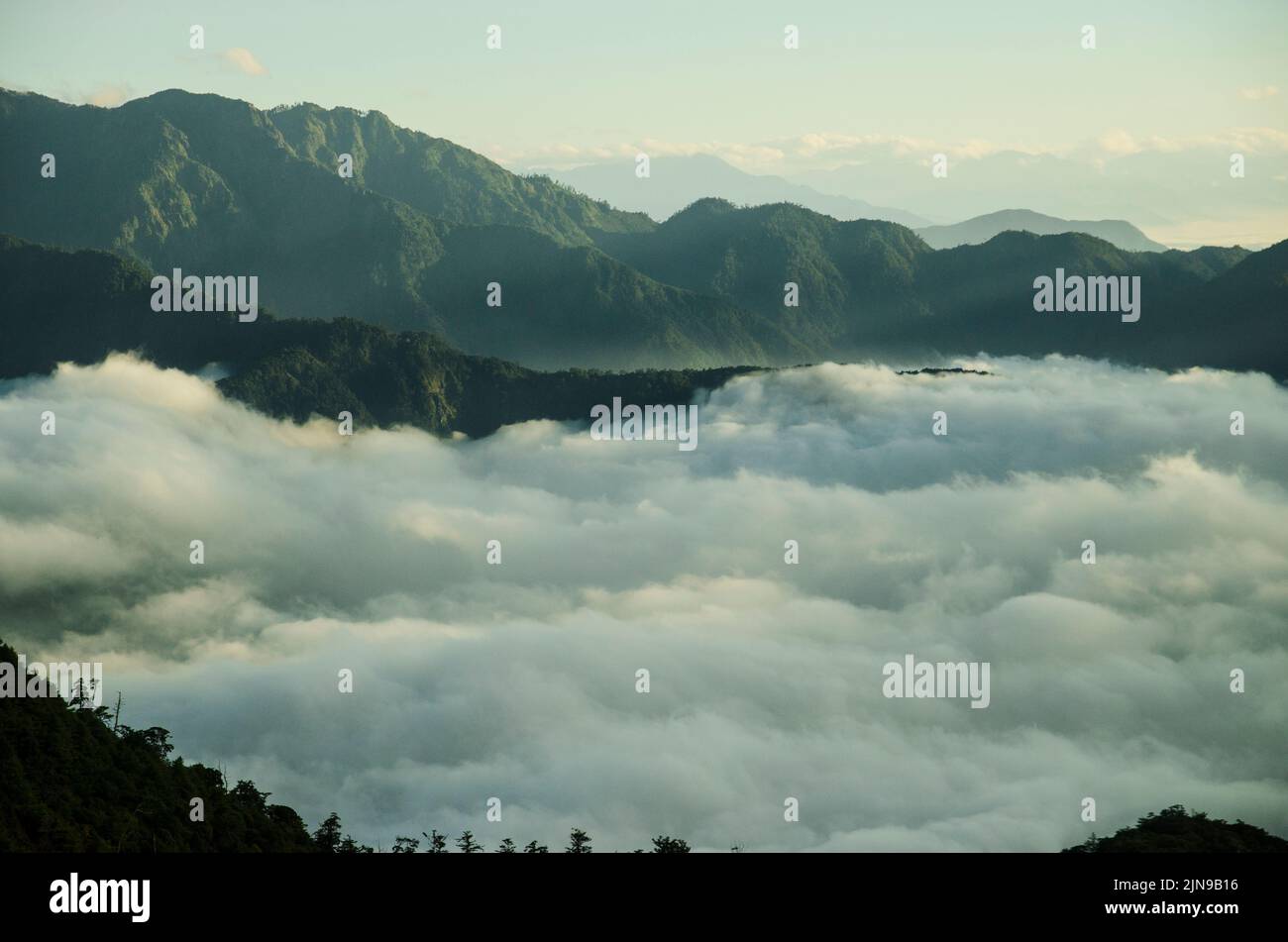 An aerial view of green mountains above the soft clouds Stock Photo - Alamy