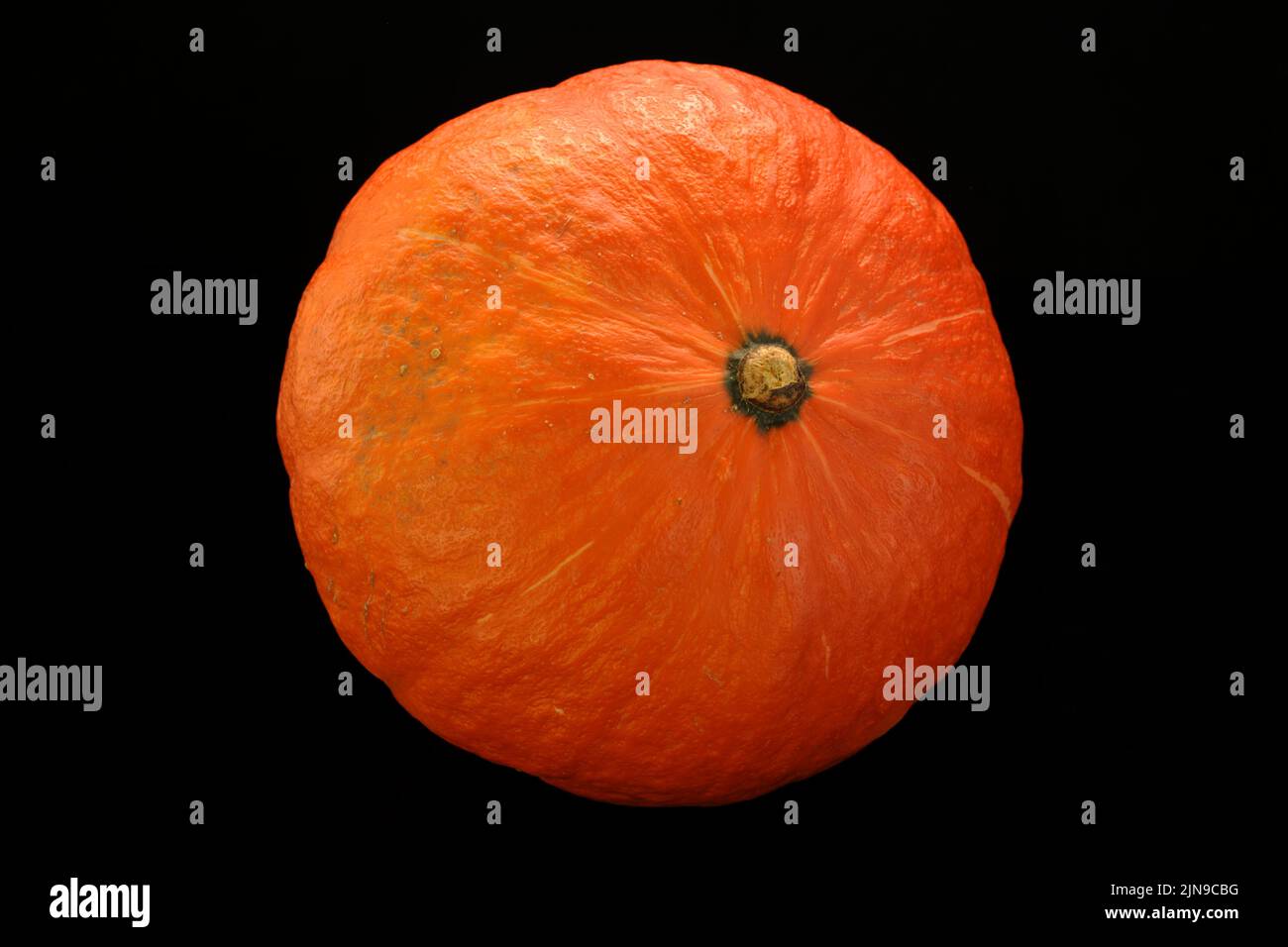Oranger kurbis hi-res stock photography and images - Alamy