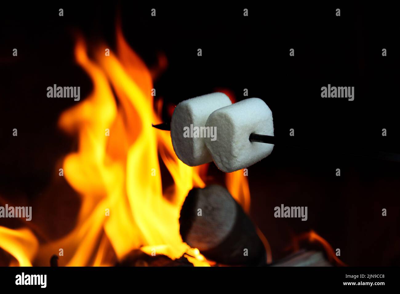 two candy white marshmallow on a stick campfire roasting Stock Photo