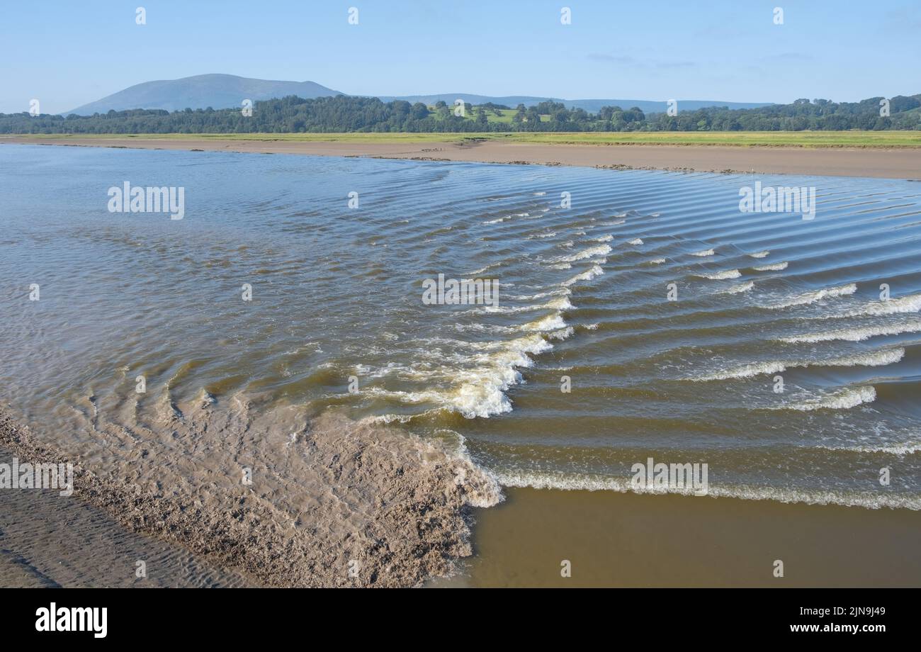 Third of three photographs showing the tidal bore at Glencaple, Scotland, August 10th 2022. Stock Photo