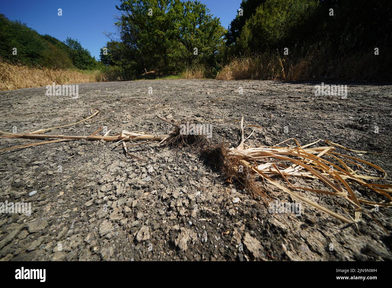 The dried bed at Heronry Pond in Wanstead Park , east London. The Met Office has issued an amber warning for extreme heat covering four days from Thursday to Sunday for parts of England and Wales as a new heatwave looms. Picture date: Wednesday August 10, 2022. Stock Photo