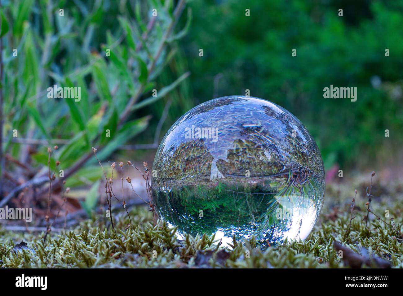 A glass sphere on the ground in the forest Stock Photo - Alamy