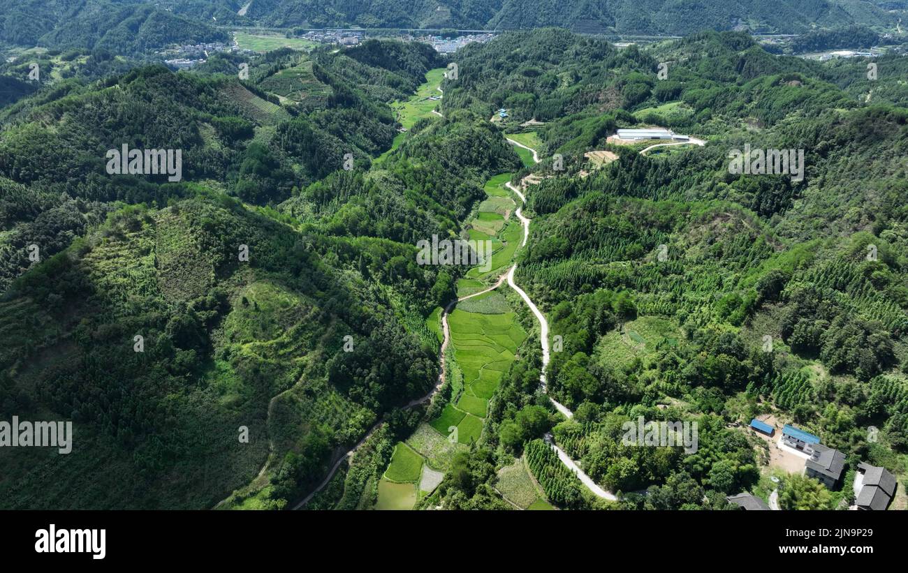 Qiandongnan. 10th Aug, 2022. Aerial photo taken on Aug. 10, 2022 shows a fruit planting base in Banxi Village of Tonglin Town in Qiandongnan Miao and Dong Autonomous Prefecture, southwest China's Guizhou Province. Villagers in Banxi Village are busying harvesting fruits such as peaches, pears and plums amid the harvest season. Credit: Yang Ying/Xinhua/Alamy Live News Stock Photo