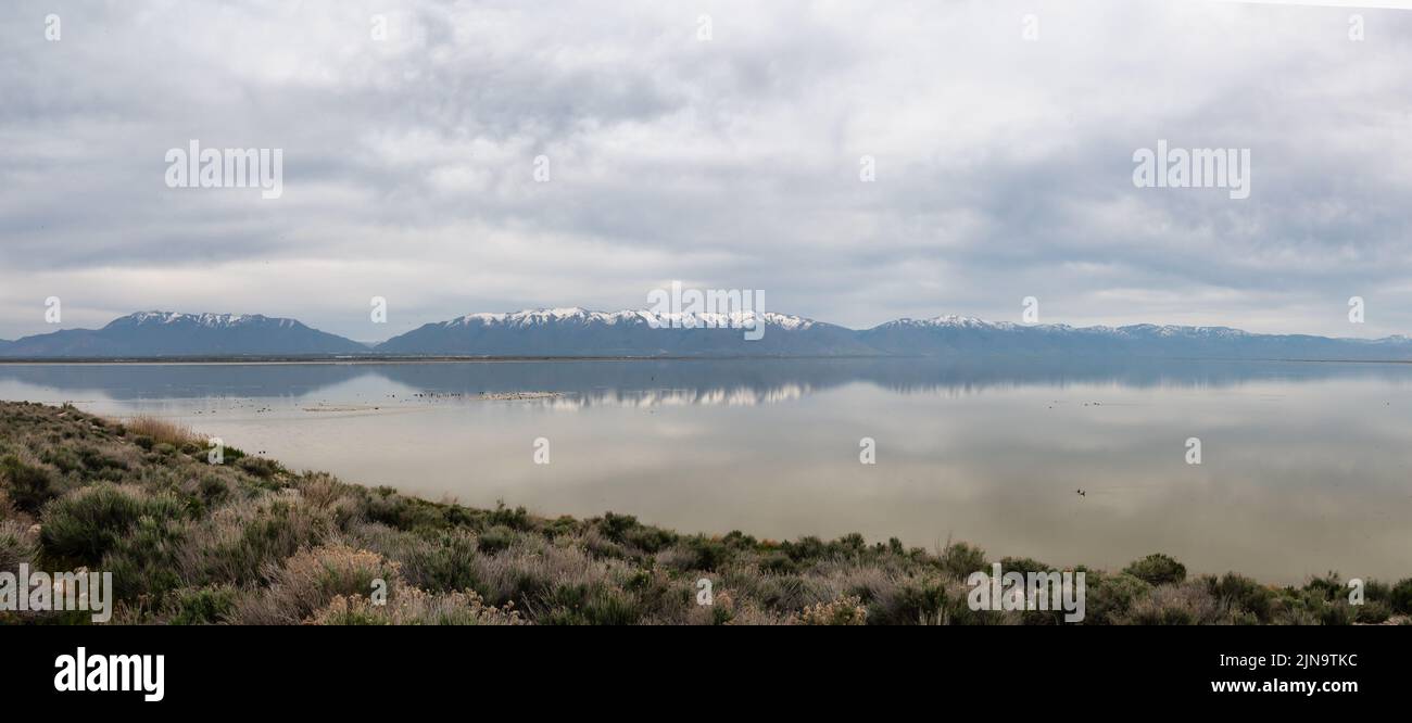 Reflection of clouds and mountain in water. Great Salt Lake, Utah.  Stock Photo