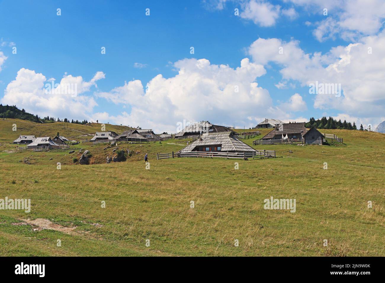 Herdsmens huts and cows on the Big Mountain Plateau in Slovenia in the Kamnik Savinja Alps Stock Photo