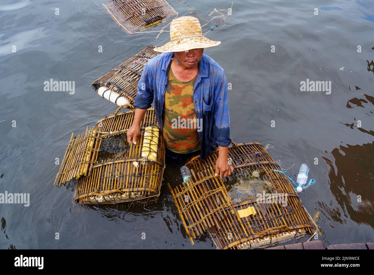 Cambodia. The seaside resort of Kep. Krong Kep Province. Crab market. Crabs are kept in submerged baskets to keep them fresh Stock Photo