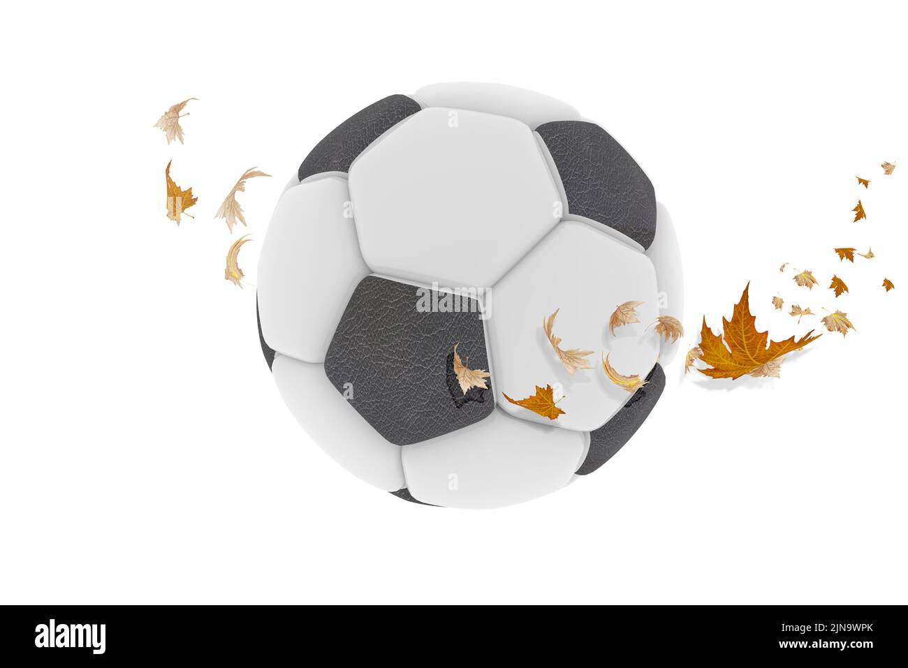 soccer ball football leaf leaves horizontal dry flying by the wind in