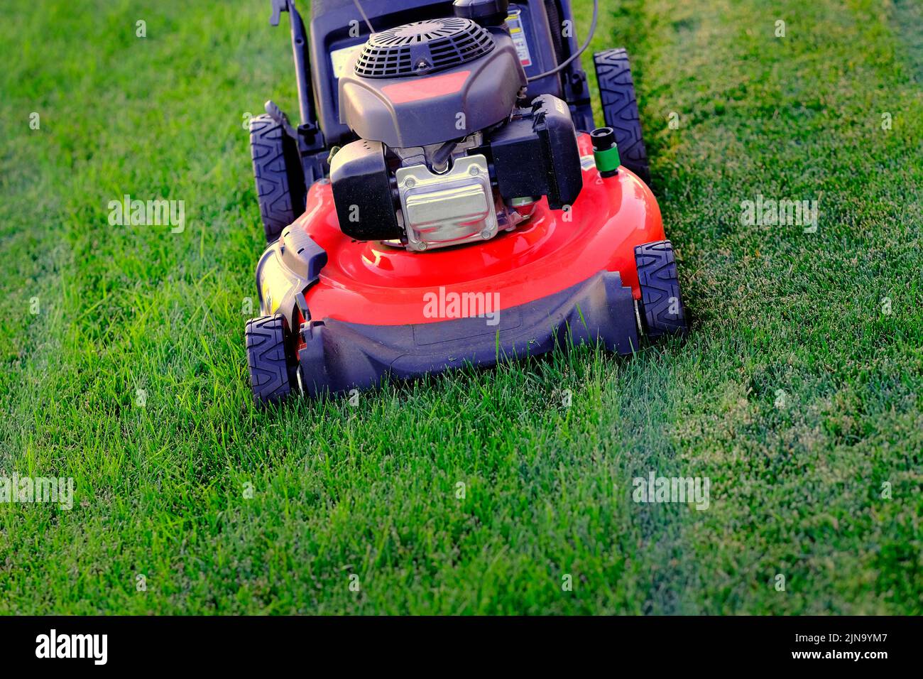 Red lawn mower in lush green grass mowing lawn cutting Stock Photo