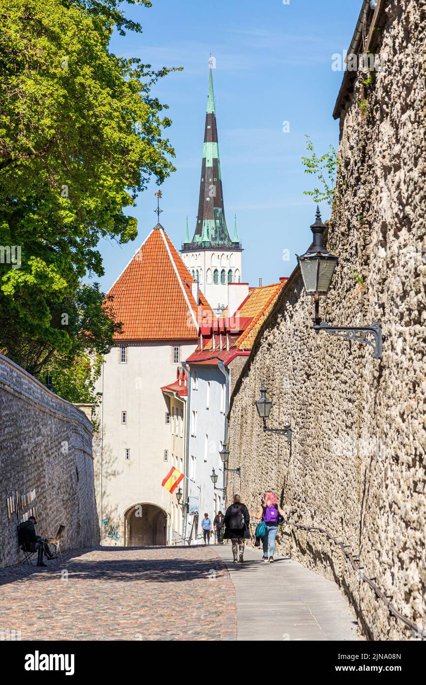 A cobbled street between defensive stone walls from the Upper Town to the Lower Town in the old town of Tallinn the capital city of Estonia Stock Photo