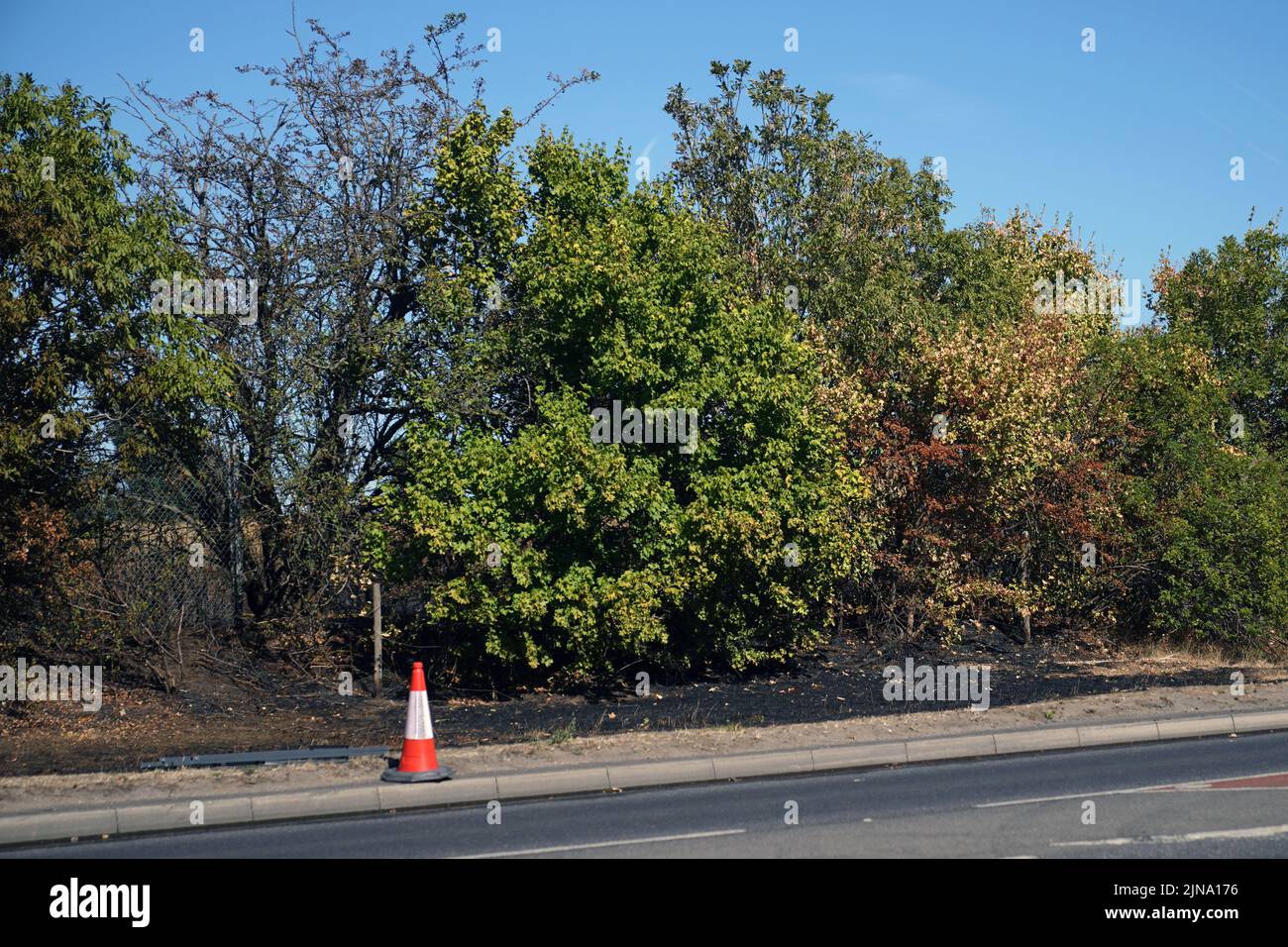 The aftermath of a grass fire in Rainham, east London. The Met Office has issued an amber warning for extreme heat covering four days from Thursday to Sunday for parts of England and Wales as a new heatwave looms. Picture date: Wednesday August 10, 2022. Stock Photo