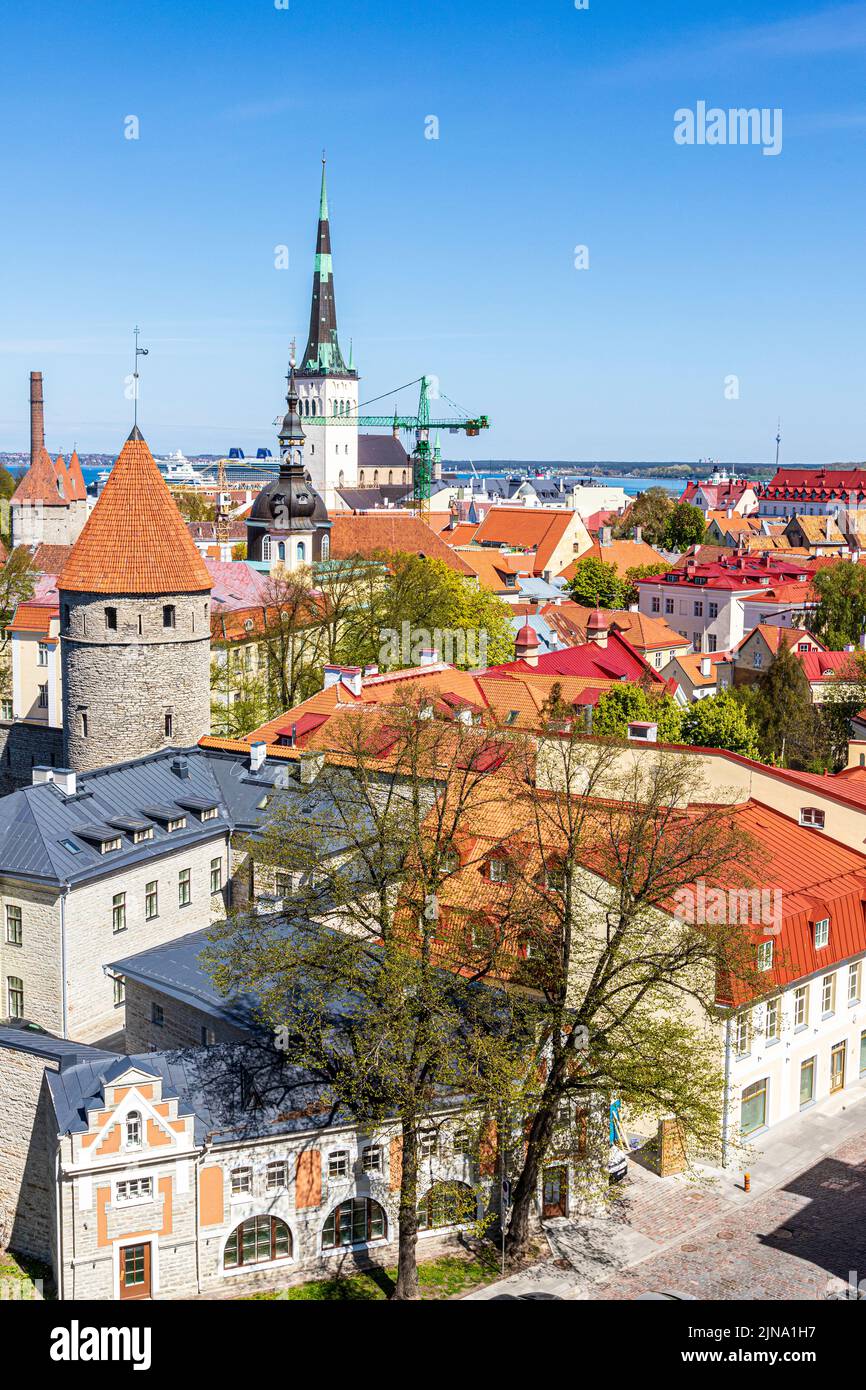 Looking out from the Upper Town over the rooves of the old town of Tallinn the capital city of Estonia Stock Photo