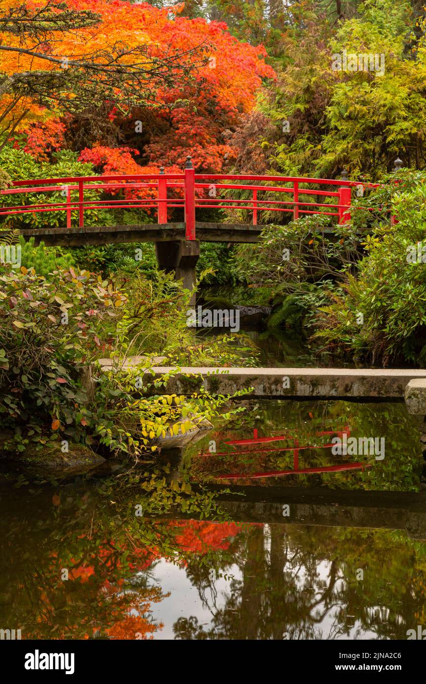 WA21858-00...WASHINGTON - Fall color and the bright red Heart Bridge crossing a slow moving creek at Kubota Garden;  a Seattle city park. Stock Photo