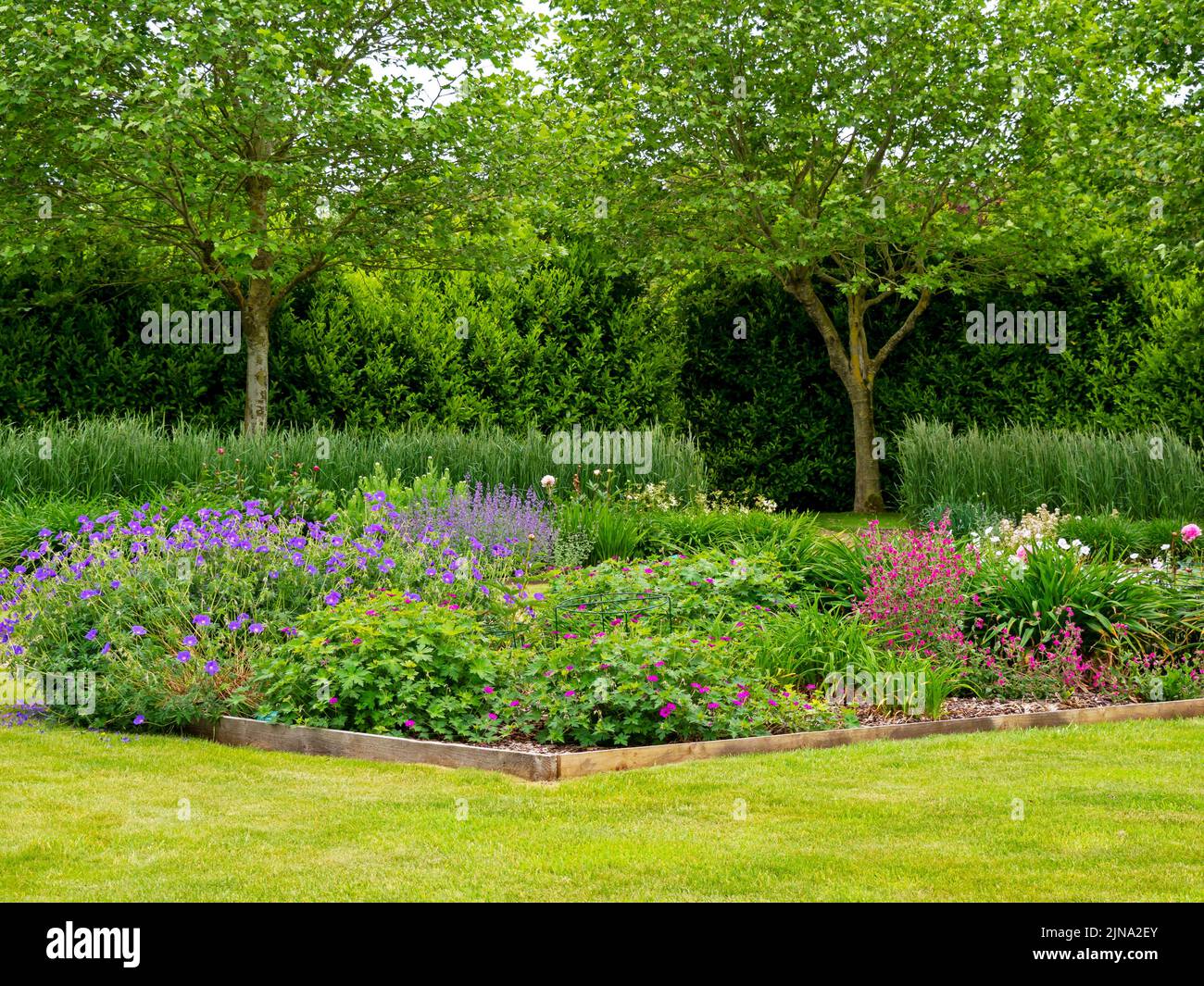 Flowerbeds and a green lawn in a summer garden Stock Photo