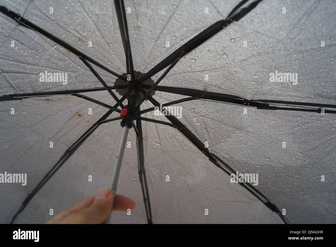a picture of a man holding an umbrella Stock Photo - Alamy