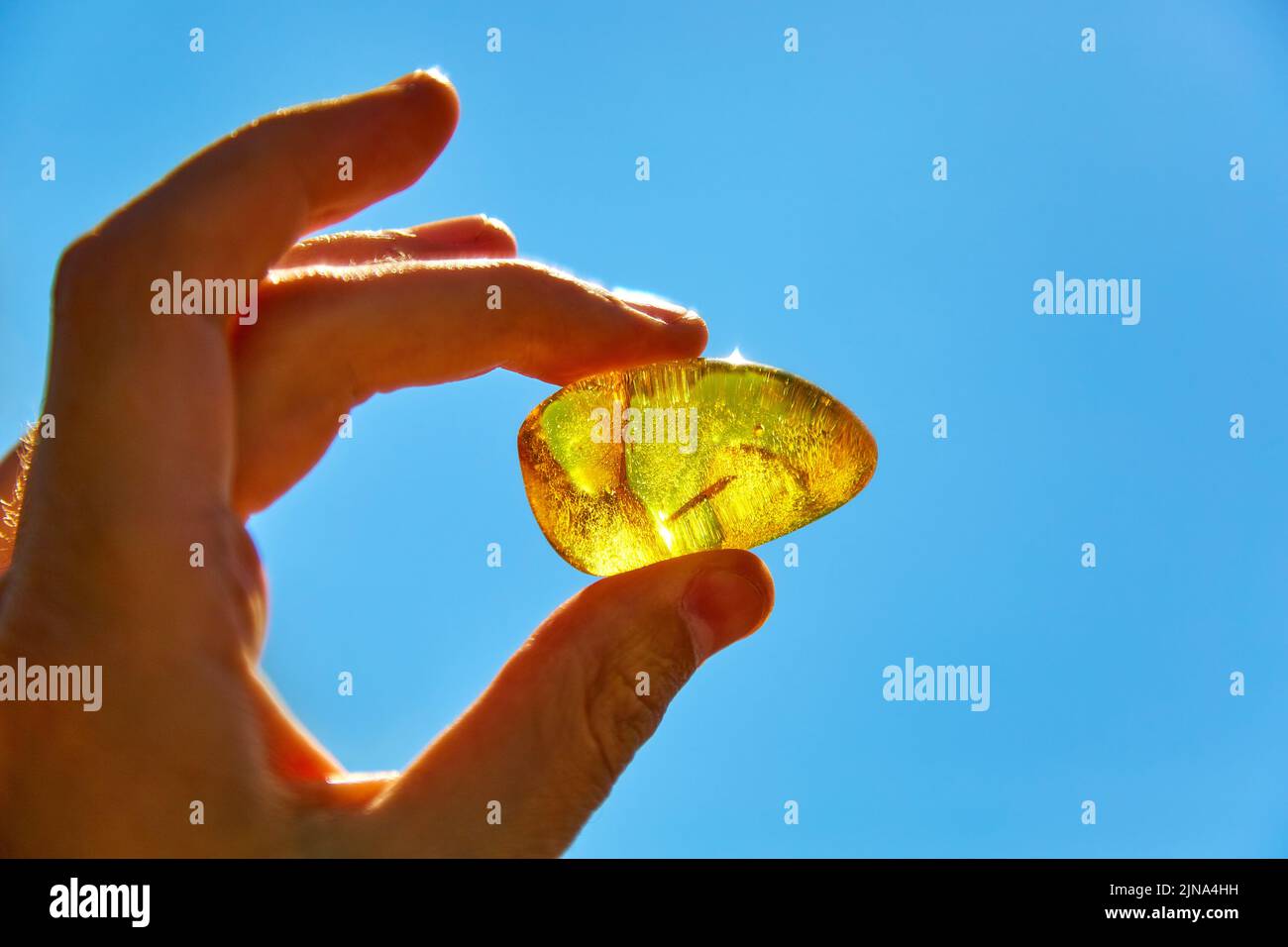Amber, mineraloid, petrified fossil tree resin, hardened resin of the