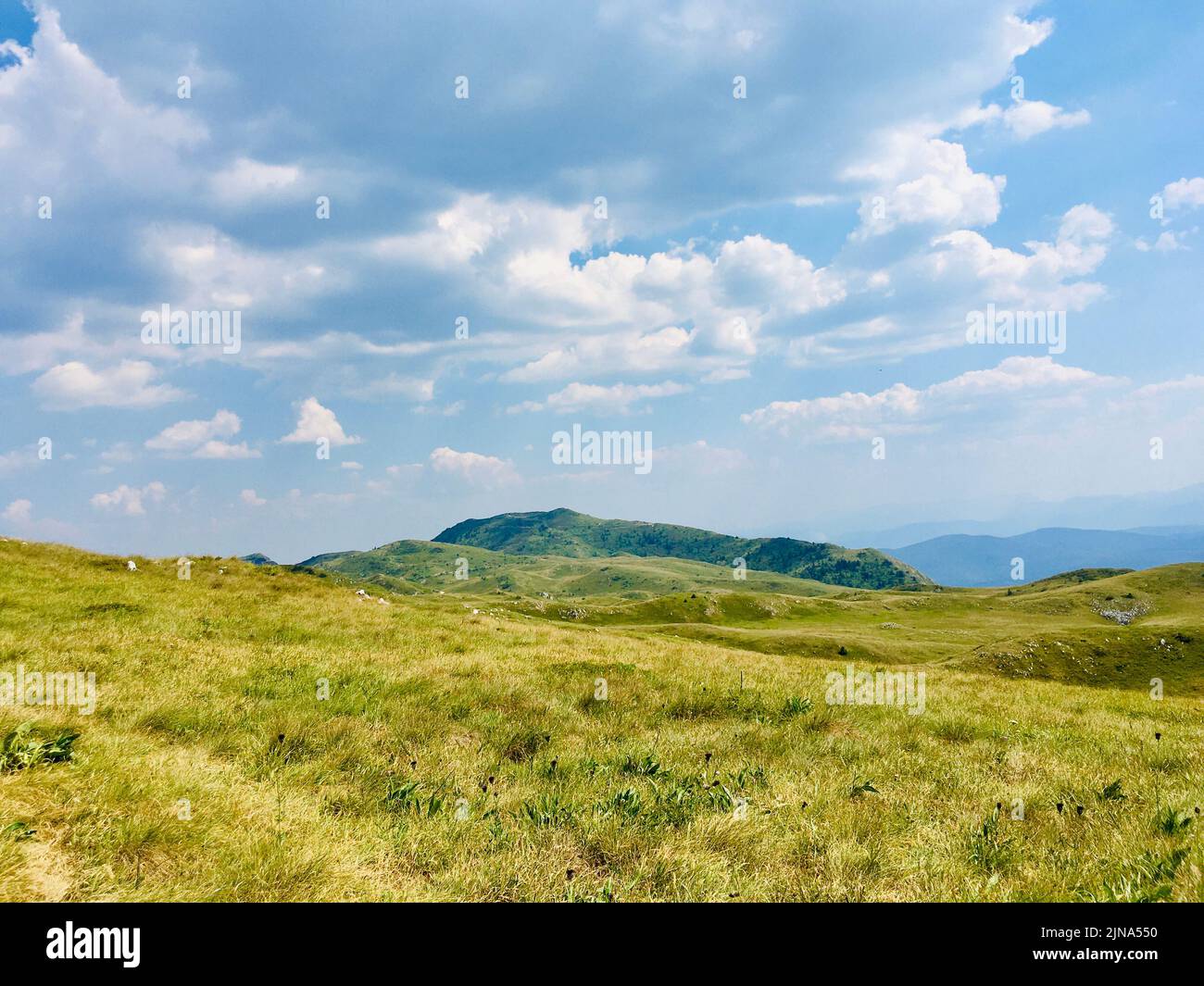 Jahorina mountain landscape in summer, Sarajevo, Bosnia and Herzegovina Stock Photo
