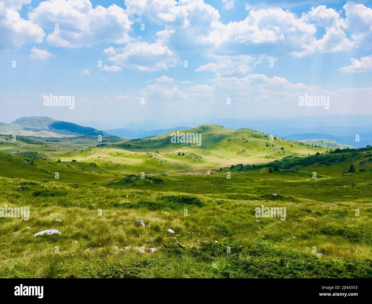 Jahorina mountain landscape in summer, Sarajevo, Bosnia and Herzegovina Stock Photo