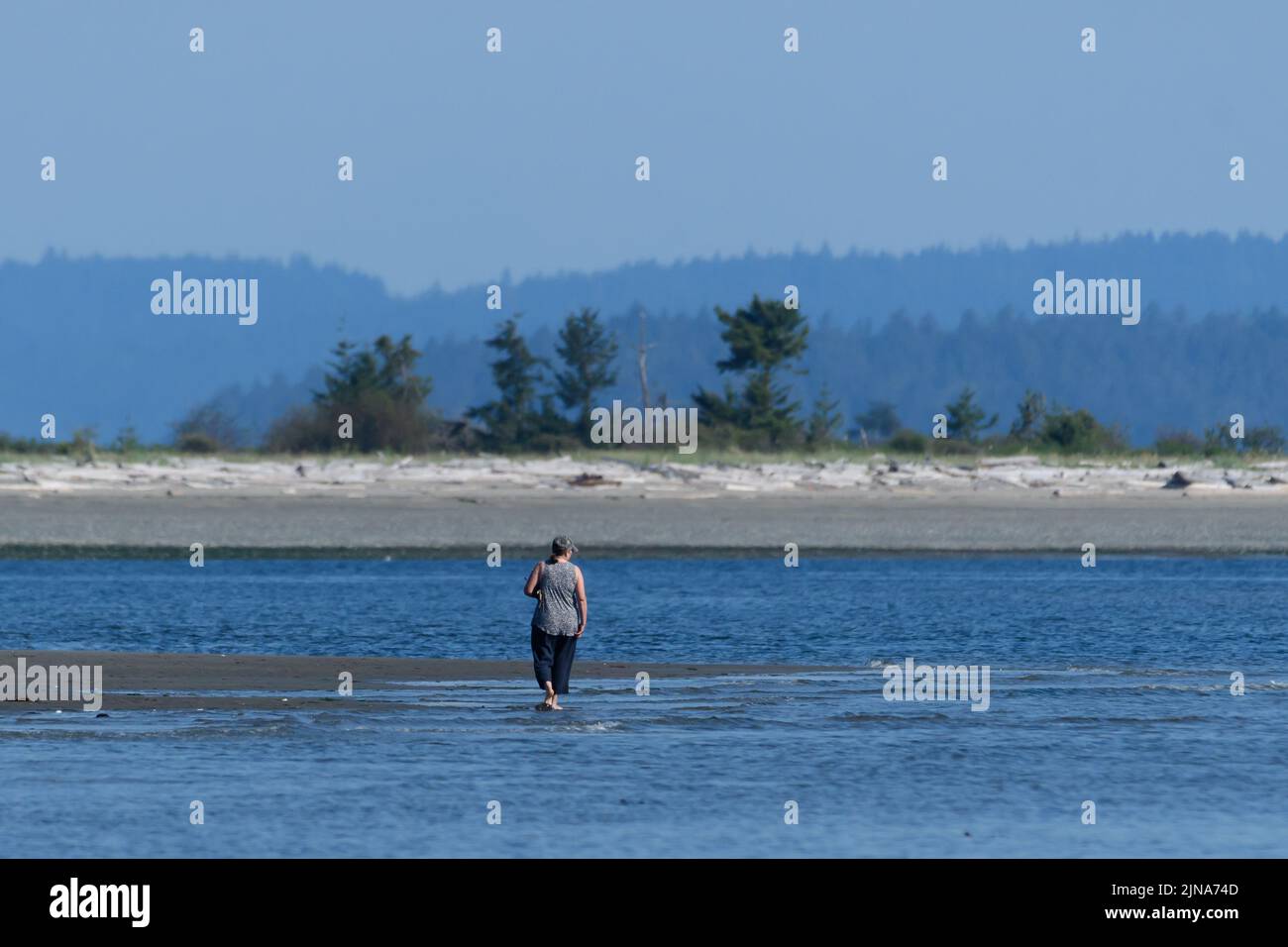 Rear view of a woman walking ankle deep in ocean, British Columbia, Canada Stock Photo