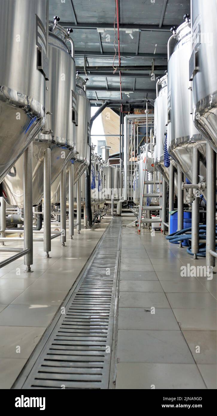Row of shiny metal micro brewery tanks or Fermentation mash vats in Brewery factory. Modern beer plant with brewering kettles, tubes and tanks made of Stock Photo