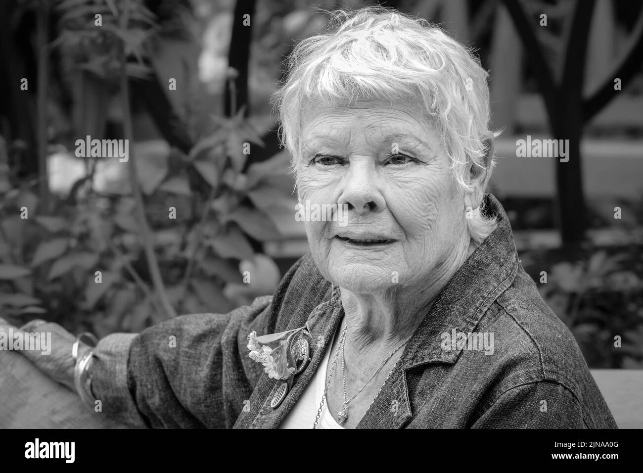 Dame Judi Dench, Chelsea Flower Show photocall, close up face, monochrome, London, England Stock Photo
