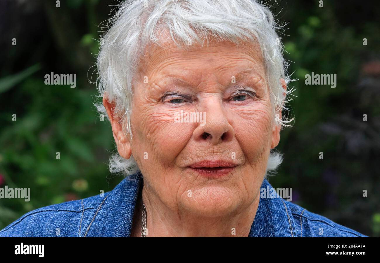 Dame Judi Dench, English actress, Chelsea Flower Show, close up head shot portrait, London, England Stock Photo