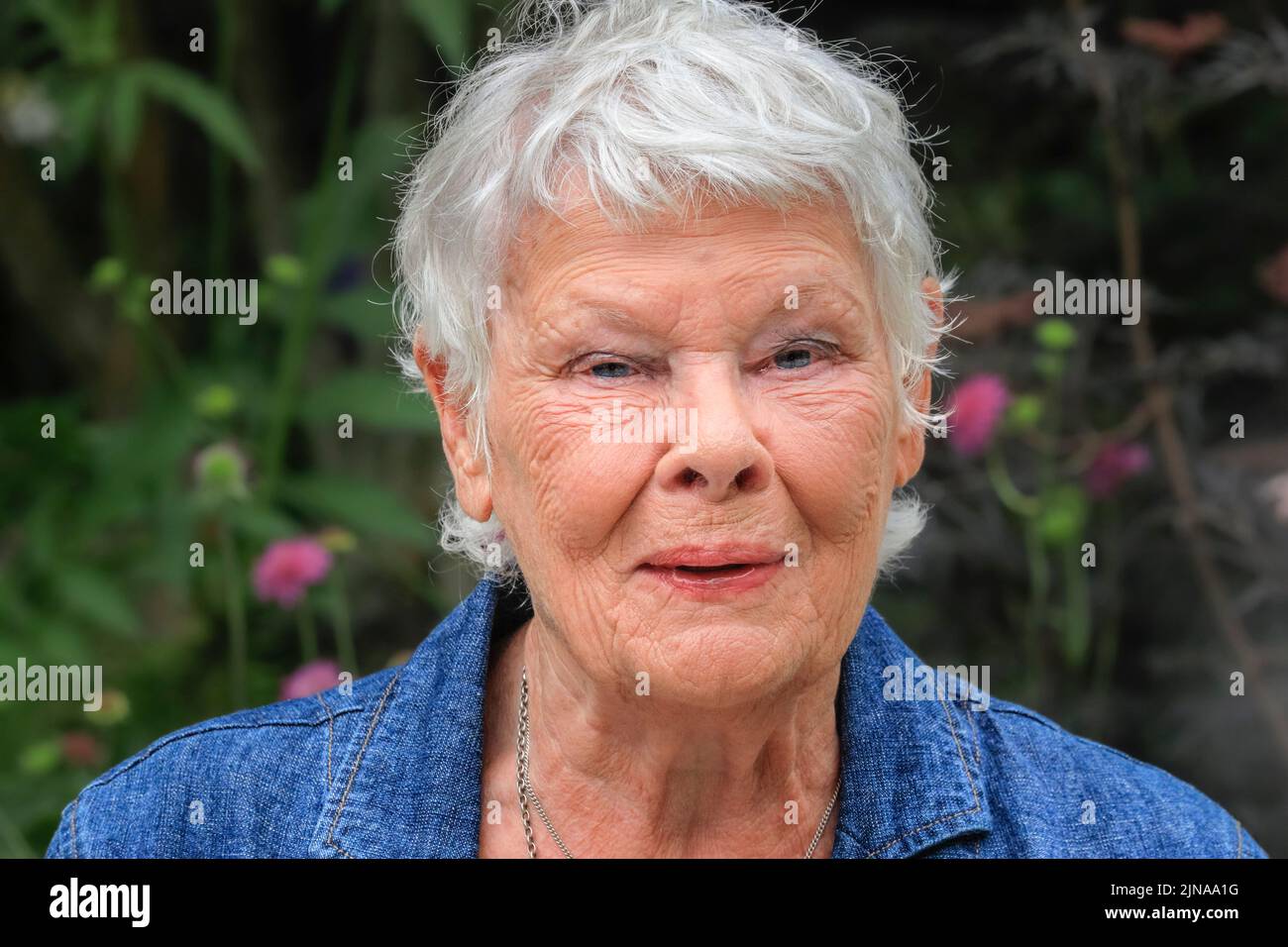 Dame Judi Dench, English actress, Chelsea Flower Show, close up head shot portrait, London, England Stock Photo