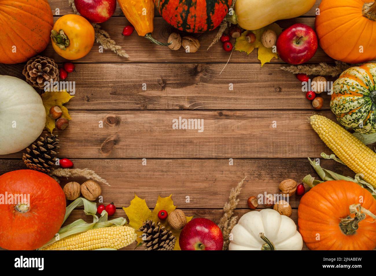 Variety of pumpkins, gourds, squash. Flat lay composition frame with walnuts, hazelnuts, apples, cones, rosehips, kaki, corn. Copy space on wooden bg. Stock Photo