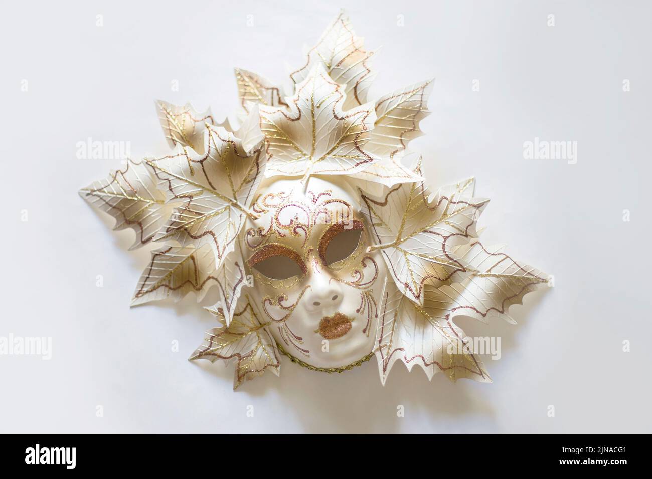 Venetian carnival mask on the white background Stock Photo
