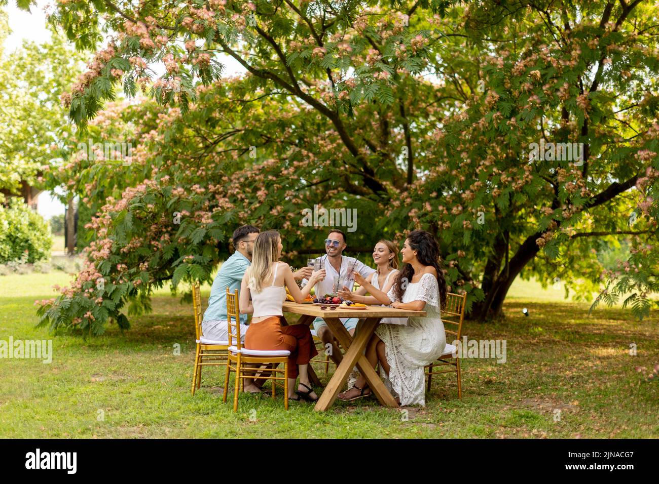 Group of young people cheering with fresh lemonade and eating fruits in the garden Stock Photo
