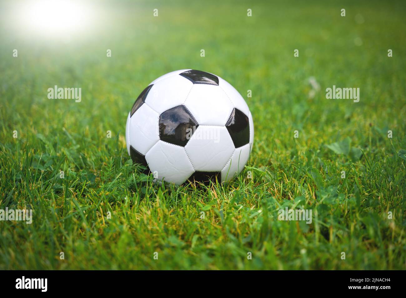 Soccer On The Soccer Field. Green Playing Field Lawn With A Ball, Symbol Image Soccer World Cup World Cup Stock Photo