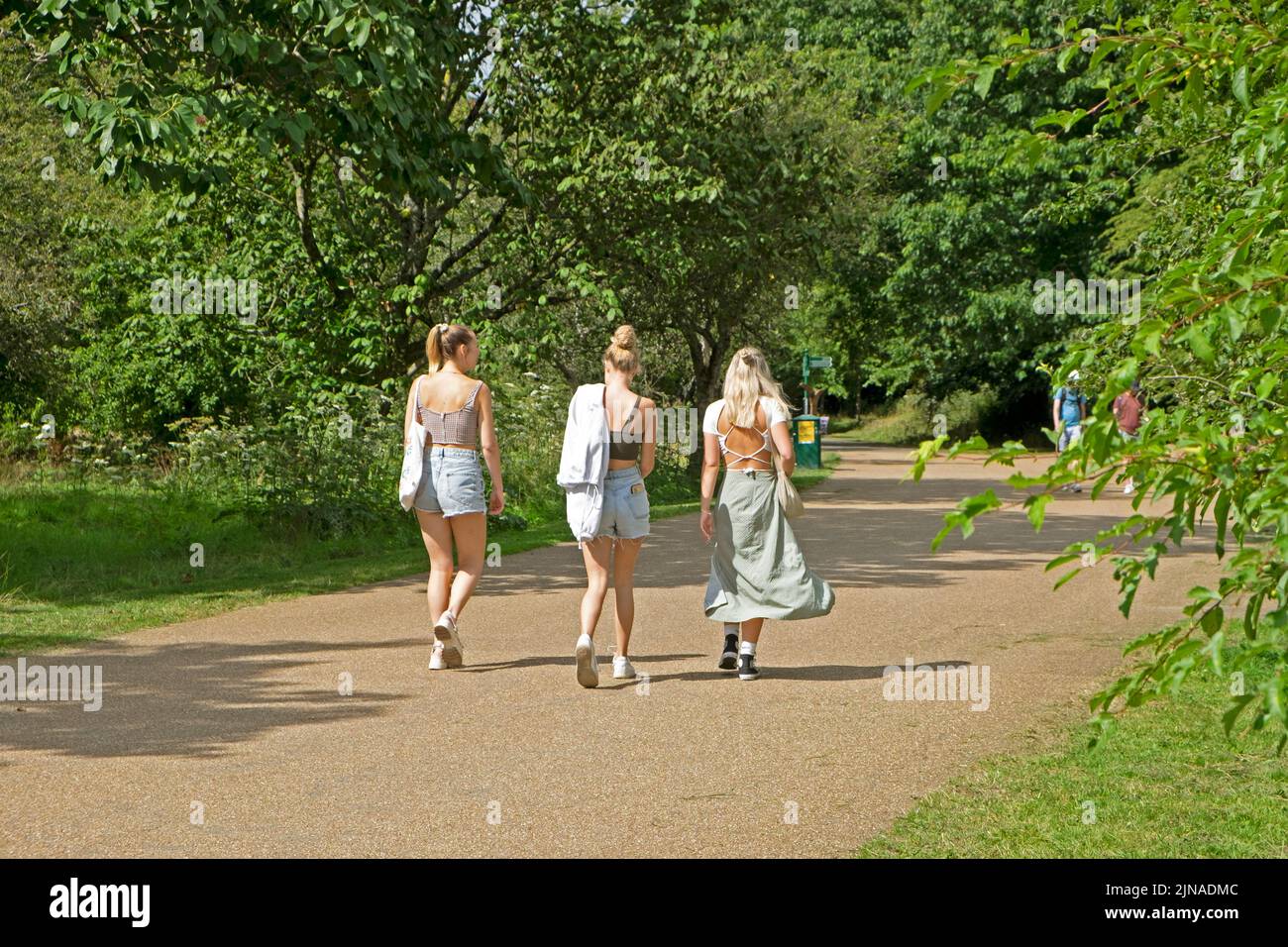 Rear back view young women female students walking on path in summer fashion Bute Park Cardiff Wales UK Great Britain August 2022   KATHY DEWITT Stock Photo