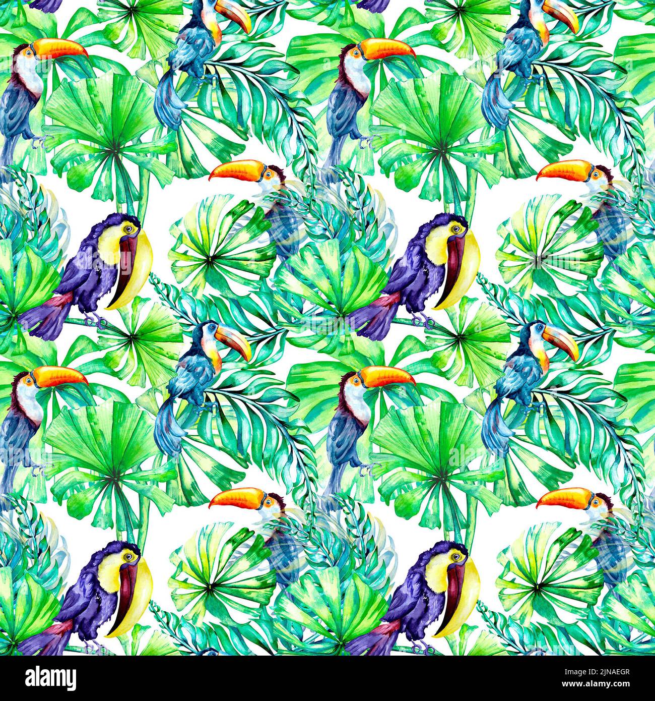 Photo inspiration: Picture Idea: Toucan Tropical Birds And Palm Leaves Watercolor Seamless Pattern On