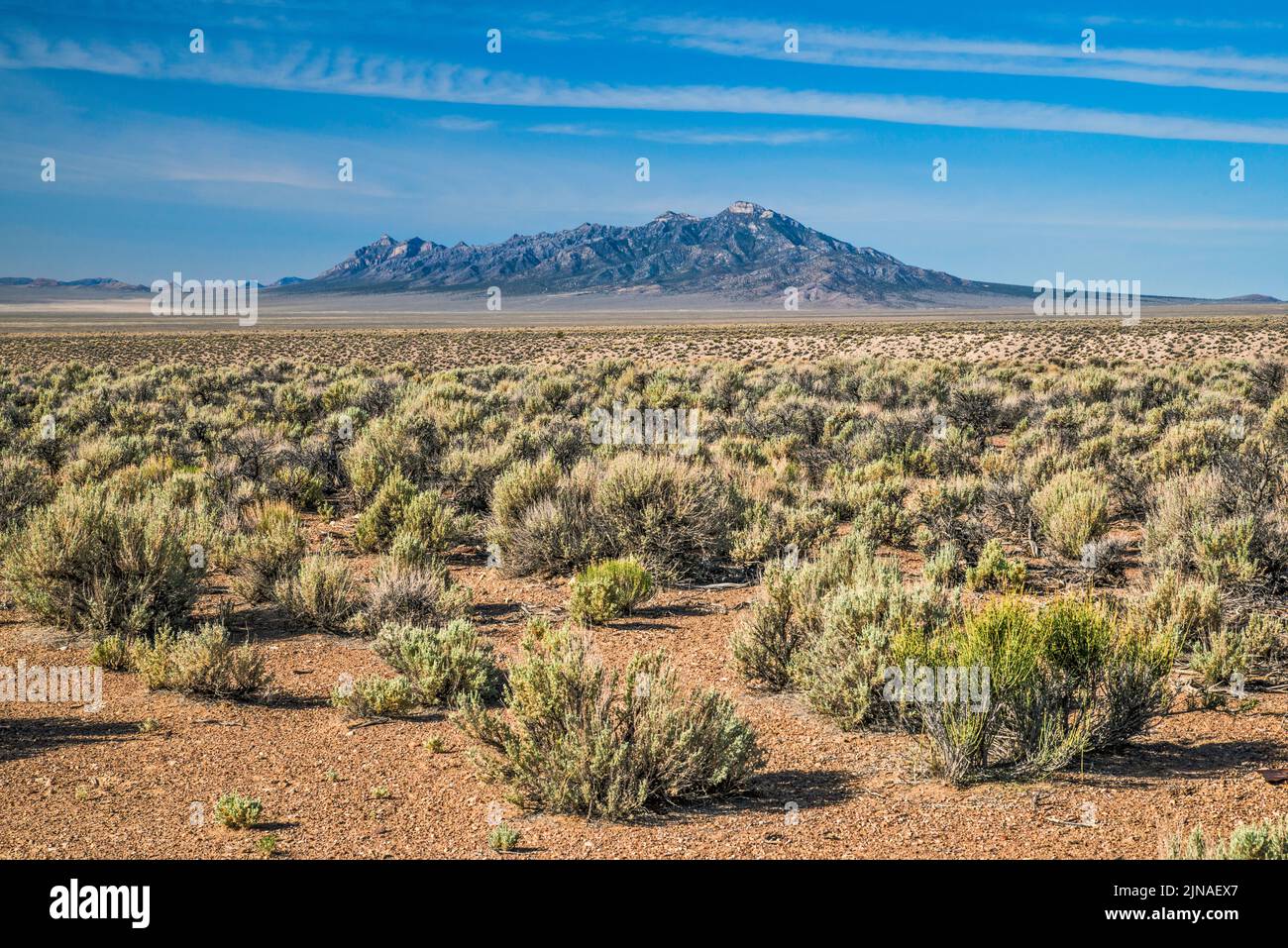 Worthington Mountains, sagebrush desert, view across Garden Valley, from Cherry Creek Road, Great Basin Desert, Basin and Range Natl Monument, Nevada Stock Photo