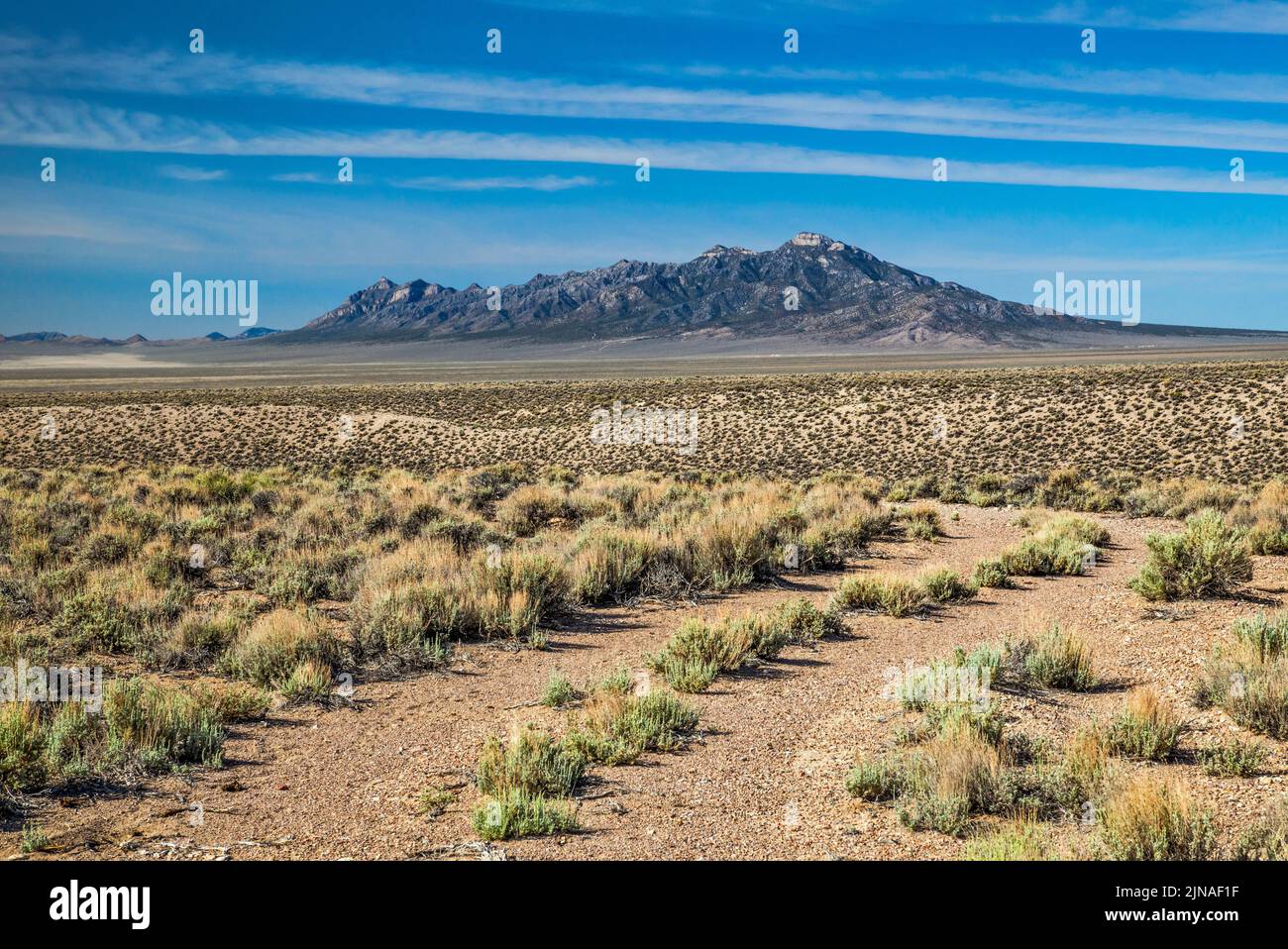 Worthington Mountains, dirt track in sagebrush desert, view from Coal Valley West Road, Great Basin Desert, Basin and Range National Monument, Nevada Stock Photo