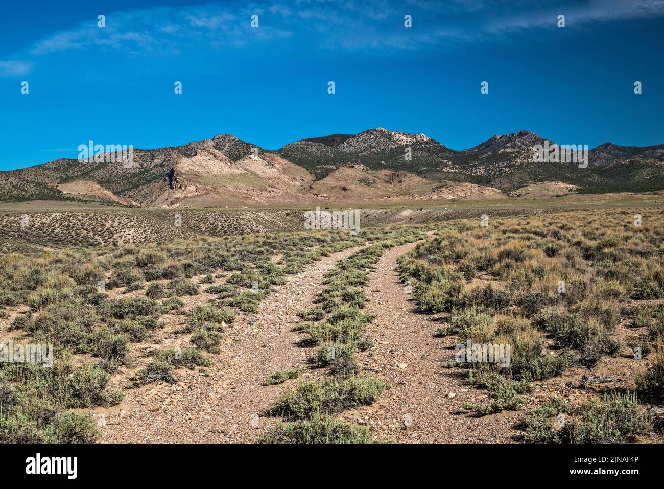 Golden Gate Range, dirt track in sagebrush desert, view from Coal Valley West Road, Great Basin Desert, Basin and Range National Monument, Nevada, USA Stock Photo