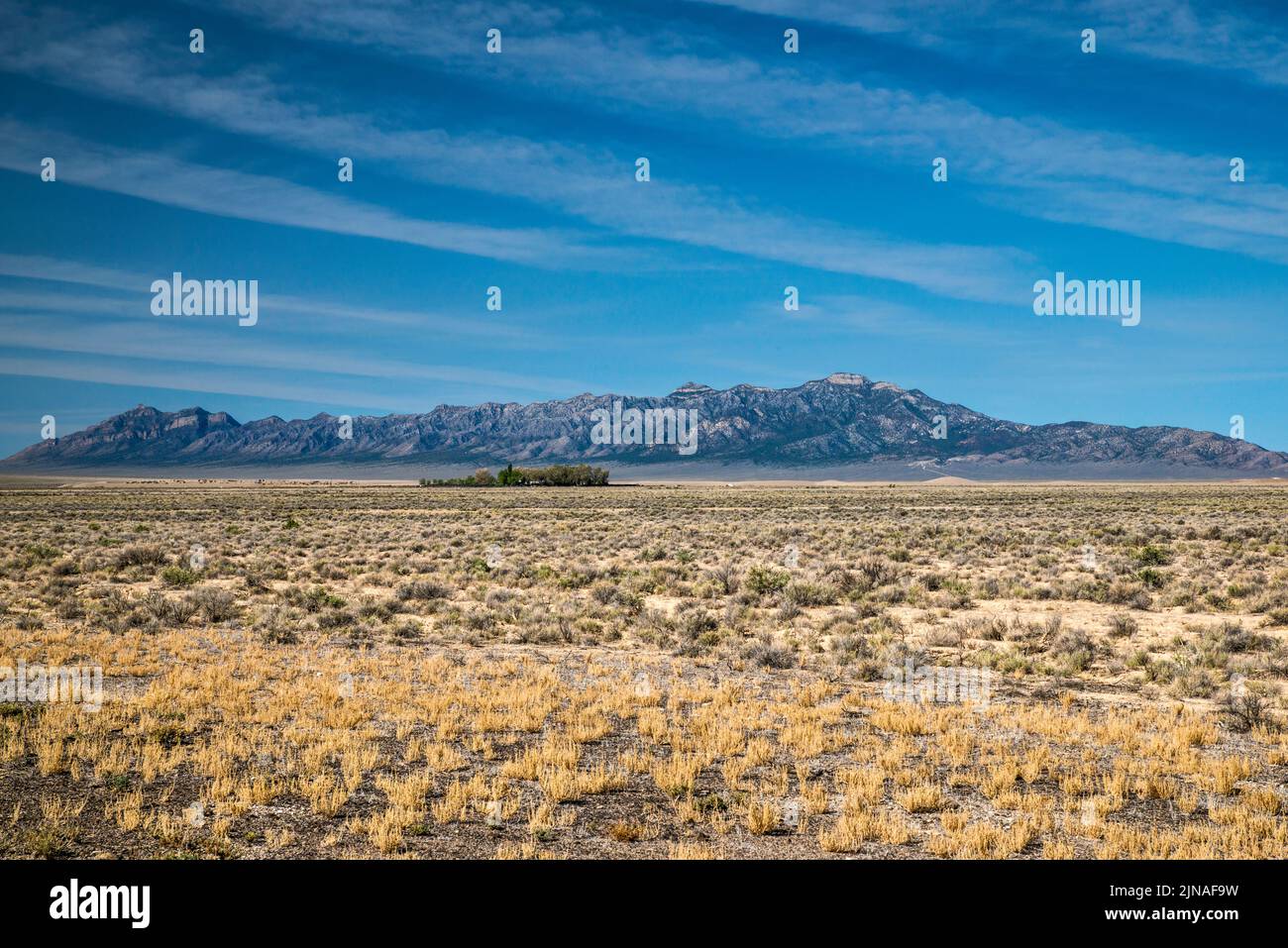 Worthington Mountains, sagebrush desert, ranch at Sharp Spring, view from Coal Valley West Road, Great Basin Desert, Basin and Range Natl Mon, Nevada Stock Photo