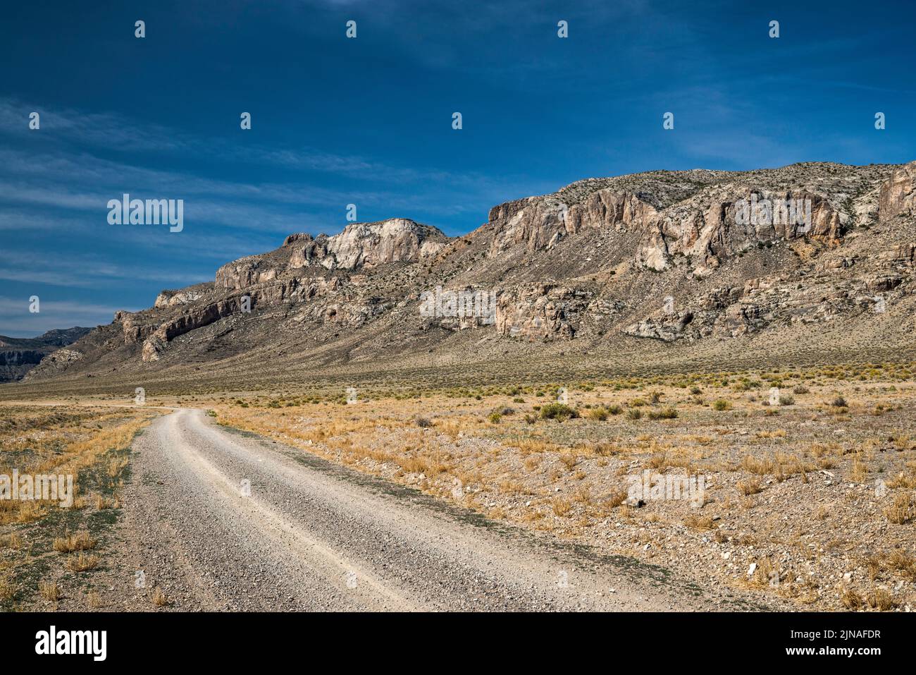 Golden Gate Range, Coal Valley West Road, Great Basin Desert, Basin and Range National Monument, Nevada, USA Stock Photo