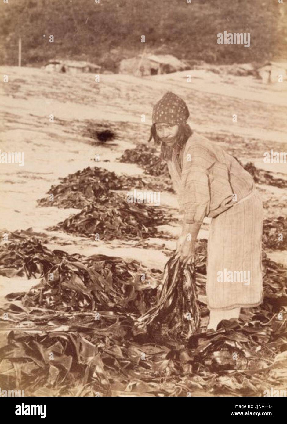 Tamoto Kenzō - Ainu Woman Stock Photo - Alamy