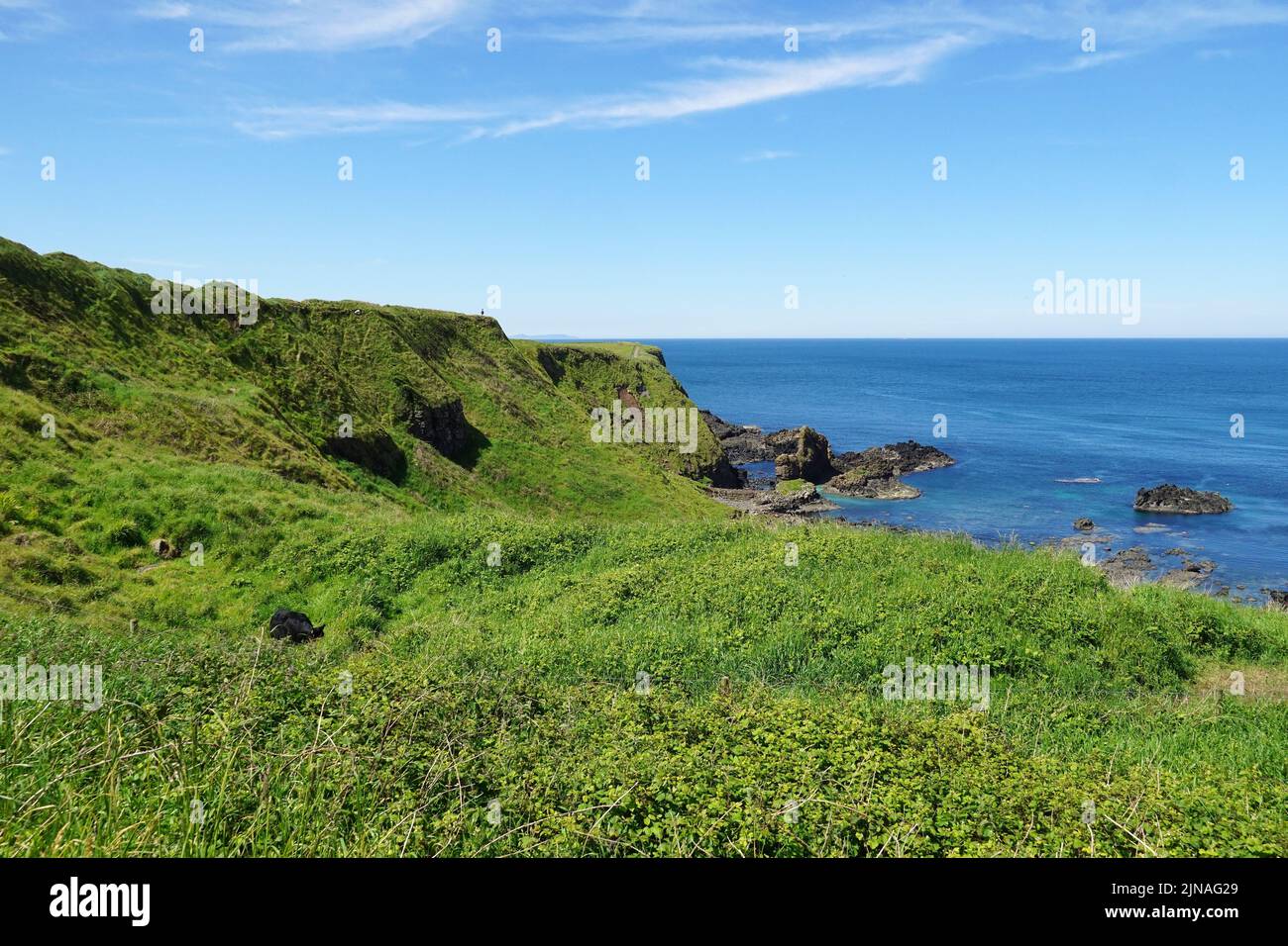 landscape, Giant's Causeway, national nature reserve, County Antrim, Northern Ireland, Tuaisceart Éireann, United Kingdom, Europe Stock Photo