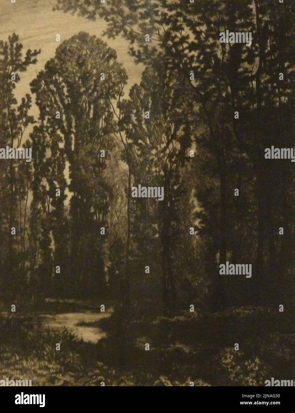 Tancrède AbrahamLa chasse dans le marais Stock Photo Alamy